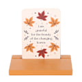 Miniatyrbild 4 av 4: Something Different Autumn Magic Affirmationskort One Size Mul Multicoloured One Size