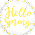 Miniatyrbild 3 av 3: Something Different Hello Spring Daisy Krans En Storlek Vit/Gul White/Yellow One Size