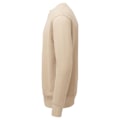 Miniatyrbild 3 av 4: Anthem Unisex Vuxen Sweatshirt 3XL Ökensand Desert Sand 3XL