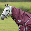 Miniatyrbild 3 av 3: Weatherbeeta Comfitec Plus Dynamic II Lite Hästtäcke Hals C Maroon/Grey/White XL