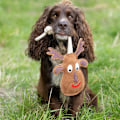 Miniatyrbild 2 av 2: Benji & Flo Ren Julhundleksak One Size Brun/Vit/Röd Brown/White/Red One Size