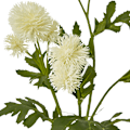 Miniatyrbild 2 av 4: Hill Interiors Bollvädd Spray Konstgjord Blomma One Size C Cream One Size