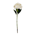 Miniatyrbild 1 av 4: Hill Interiors Hortensia Konstgjord Blomma One Size Vit White One Size