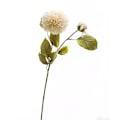 Miniatyrbild 4 av 4: Hill Interiors Dahlia Konstgjord Blomma One Size Vit/Grön White/Green One Size