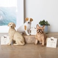 Miniatyrbild 3 av 5: Something Different Labrador Prydnad En Storlek Gul Yellow One Size