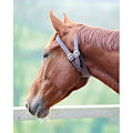 Miniatyrbild 3 av 3: Shires Läder Anti-Crib Häst Krage Cob Australian Nut Australian Nut Cob