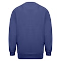 Miniatyrbild 2 av 4: Absolute Apparel Mens Magnum Sweat 4XL Royal Royal 4XL
