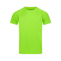 Miniatyrbild 1 av 2: Stedman Active Raglan Mesh T-shirt för män XL Kiwi Grön Kiwi Green XL