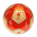 Miniatyrbild 2 av 3: Liverpool FC YNWA Signature Football 1 Röd/Guld Red/Gold 1