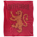 Miniatyrbild 1 av 6: Harry Potter Gryffindor Doodle Filt En Storlek Flerfärgad Multicoloured One Size