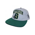 Miniatyrbild 4 av 4: Harry Potter Slytherin Snapback Cap One Size Grå/Grön Grey/Green One Size
