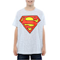 Miniatyrbild 3 av 5: DC Comics Pojkars Superman Logotyp T-shirt 5-6 År Heather Grey Heather Grey 5-6 Years