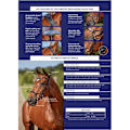 Miniatyrbild 2 av 3: Collegiate Comfitec Crystal Läder Bridle Warmblood Svart Black Warmblood
