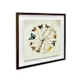 Miniatyrbild 2 av 2: Ian Winstanley Butterfly Harmony Träinramad Plakett One Size Mu Multicoloured One Size