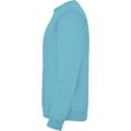 Miniatyrbild 4 av 4: Roly Unisex Vuxen Clasica Crew Neck Sweatshirt M Turkos Turquoise M