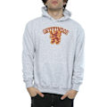 Miniatyrbild 3 av 5: Harry Potter Herr Gryffindor Sport Emblem Hoodie L Sports Grey Sports Grey L