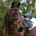 Miniatyrbild 4 av 5: Collegiate Comfitec Grackle Läder Hästgrimma Varmblod Svart Black Warmblood