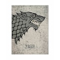 Miniatyrbild 1 av 2: Game of Thrones Stark Poster En Storlek Grå Grey One Size