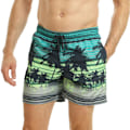 Miniatyrbild 1 av 4: RIPT Essentials Herr Palm Tree Baddräktsshorts S Lime/Blå Lime/Blue S