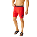 Miniatyrbild 4 av 5: Regatta Bentham badbyxor för män M High Risk Red/Navy High Risk Red/Navy M