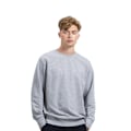Miniatyrbild 3 av 3: Mantis Mens The Sweatshirt L Heather Marl Heather Marl L