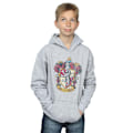 Miniatyrbild 2 av 5: Harry Potter Pojkar Gryffindor Distressed Crest Hoodie 7-8 År Sports Grey 7-8 Years