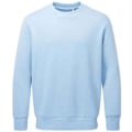 Miniatyrbild 1 av 2: Anthem Unisex Vuxen Organisk Sweatshirt XXL Ljusblå Light Blue XXL