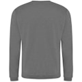 Miniatyrbild 2 av 2: Pro RTX Pro Sweatshirt M Solid Grey Solid Grey M