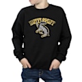 Miniatyrbild 3 av 5: Harry Potter Pojkar Hufflepuff Sport Emblem Sweatshirt 7-8 År Black 7-8 Years