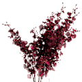 Miniatyrbild 2 av 2: Hill Interiors Orkidé Spray Konstgjord Blomma One Size Mörk Bur Dark Burgundy One Size