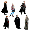 Miniatyrbild 1 av 6: Harry Potter Deluxe Karaktärsstickers (50-pack) One Size Mu Multicoloured One Size