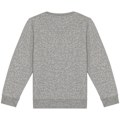 Miniatyrbild 2 av 2: Native Spirit Barn/Kids Sweatshirt 10-12 År Månstensgrå H Moon Grey Heather 10-12 Years