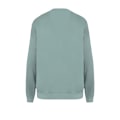 Miniatyrbild 2 av 3: Native Spirit Unisex Vuxen Terrycloth Oversized Sweatshirt S Washed Jade Green Washed Jade Green S