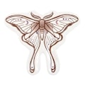 Miniatyrbild 1 av 3: Something Different Luna Moth Prydnadsfat En Storlek Vit/Brun White/Brown One Size
