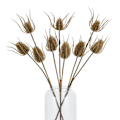 Miniatyrbild 2 av 4: Hill Interiors Tistel Konstgjord Blomma Trippel En Storlek Brun Brown One Size