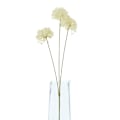 Miniatyrbild 4 av 4: Hill Interiors Trippel Allium Spray Konstgjord Blomma One Size C Cream One Size