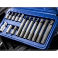 Miniatyrbild 2 av 3: Bluespot Tools Hex Bitssats, 15 Delar En Storlek Flerfärgad Multi Colour One Size