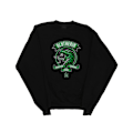 Miniatyrbild 1 av 3: Harry Potter Pojkar Slytherin Toon Crest Sweatshirt 12-13 År B Black 12-13 Years