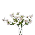 Miniatyrbild 2 av 2: Hill Interiors The Natural Garden Collection Julros Konstgjord Pale Apricot One Size