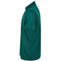 Miniatyrbild 3 av 4: Henbury Unisex Vuxen Polotröja 4XL Flaskgön Bottle Green 4XL