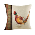Miniatyrbild 2 av 4: Evans Lichfield Hunter Fasan Kuddeöverdrag 40cm x 60cm Multi Multicoloured 40cm x 60cm