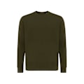 Miniatyrbild 1 av 3: Iqoniq Unisex Vuxen Etosha Återvunnen Bomull Lätt Sweatshirt Khaki Green XL