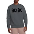 Miniatyrbild 5 av 5: AC/DC Unisex Vuxen Sliten Logotyp Sweatshirt XL Kolgrå Charcoal XL