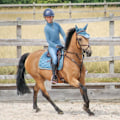 Miniatyrbild 3 av 5: Coldstream Girls New Generation Ednam Base Layer Top 9-10 år Slate Blue 9-10 Years