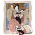 Miniatyrbild 1 av 6: Looney Tunes Inramad Taz Filt One Size Flerfärgad Multicoloured One Size