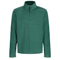 Miniatyrbild 1 av 3: Regatta Herr 170 Series Anti-pill Dragkedja Micro Fleece L Flaska Bottle Green L