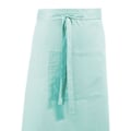Miniatyrbild 2 av 2: Premier Unisex Färger Bar Apron / Arbetskläder (Lång Continental S Aqua One Size