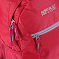 Miniatyrbild 4 av 4: Regatta Jaxon III Ryggsäck (10 Liter) One Size Duchess Pink/Da Duchess Pink/Dapple Grey One Size