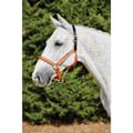 Miniatyrbild 2 av 2: Kincade Deluxe Webbed Headcollar Med Läderkrona Full Orange Orange Full