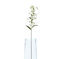 Miniatyrbild 4 av 4: Hill Interiors Turk´s Cap Lily Spray Konstgjord Blomma One Size Green One Size